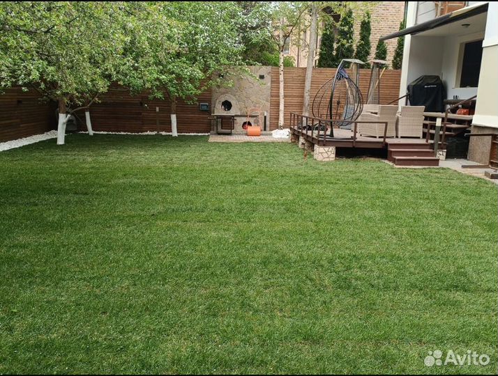 Рулонный газон Спортивный