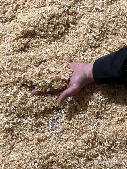 Опилки для животных