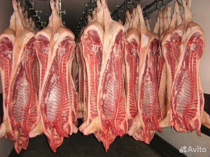 Мясо свинина в полутушах или разделка с доставкой