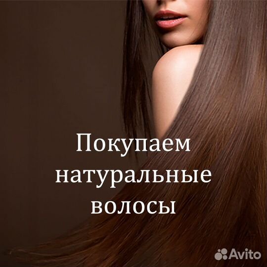Скупка волос сдать продать волосы Димитровград