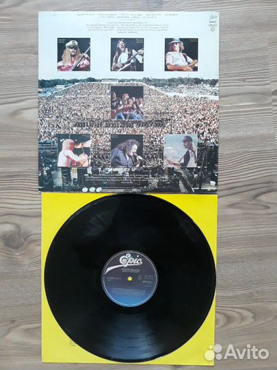 Molly hatchet 1980 lp виниловая пластинка