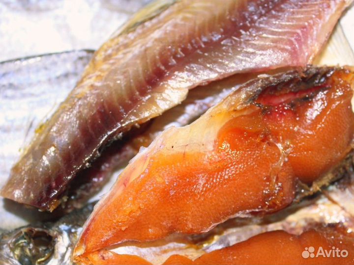 Вяленая вобла/Доставка прямиком из Астрахани