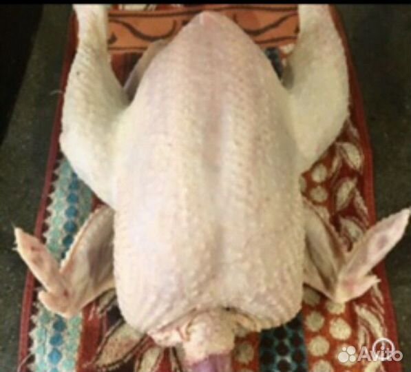 Мясо кур бройлеров домашнее