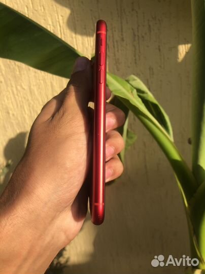 iPhone xr идеал