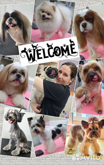 Груминг собак и кошек