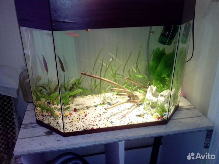 Отдам аквариум