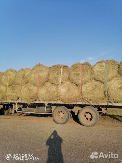 Продаю сено