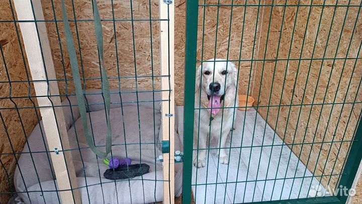 Зоогостиница, передержка, зоотакси