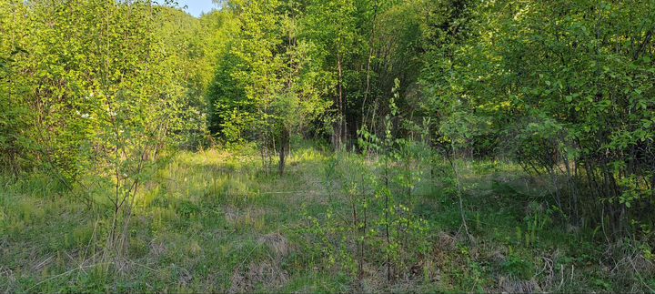 Участок 10 сот. (ИЖС)