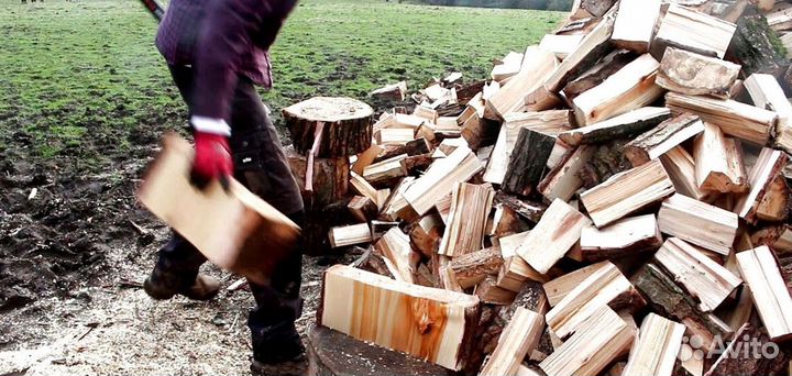 Дрова в СПБ