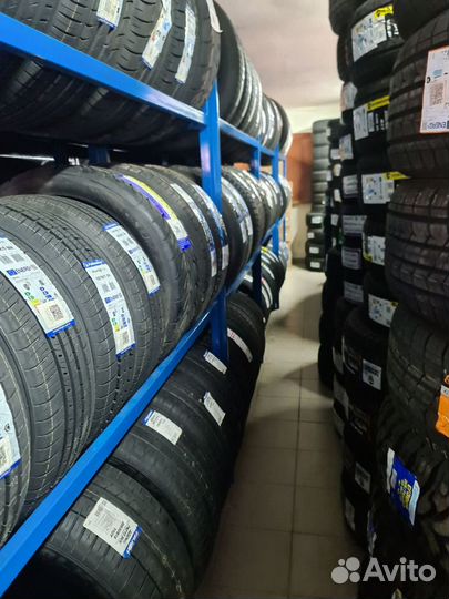 Delinte DV2 195/75 R16C 107R