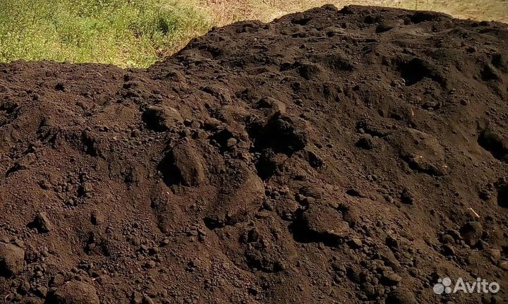 Торф переходный