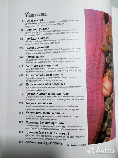 Книга Секреты природы, мир животных и растений