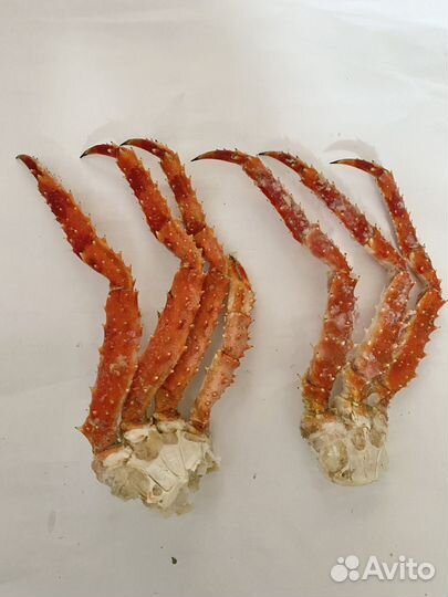 Клешни камчатского краба