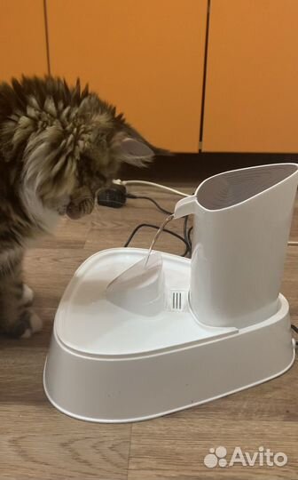 Поилка фонтан для кошек