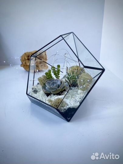 Флорариум 