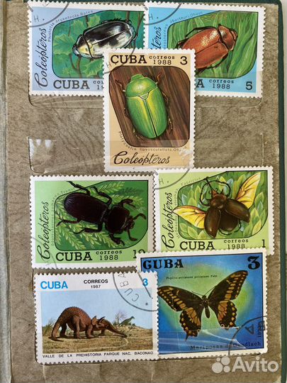 Почтовые марки мира и СССР