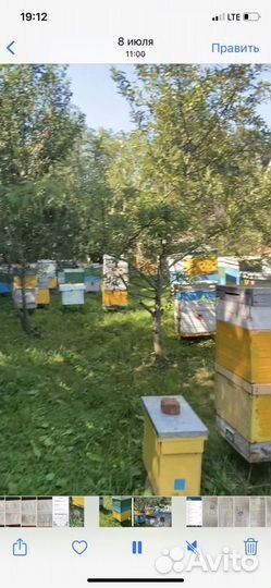 Натуральный мед