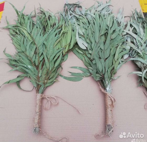 Веники Эвкалиптовые и липа для бани