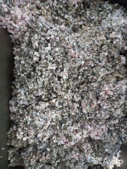 Говяжий корм для собак