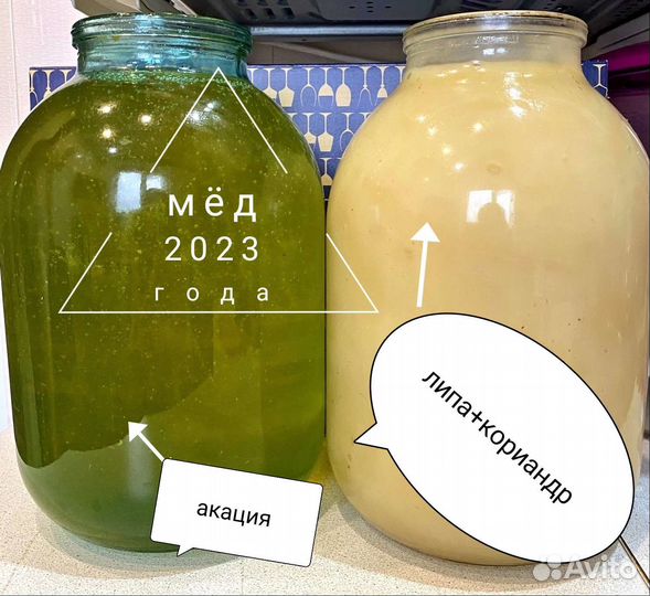 Мёд липа+кориандр 2023