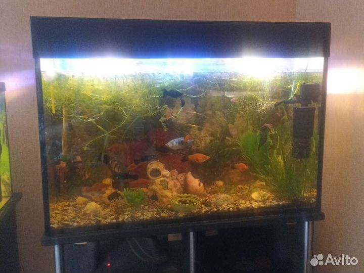 Аквариум 150л.; 41л - 2 шт