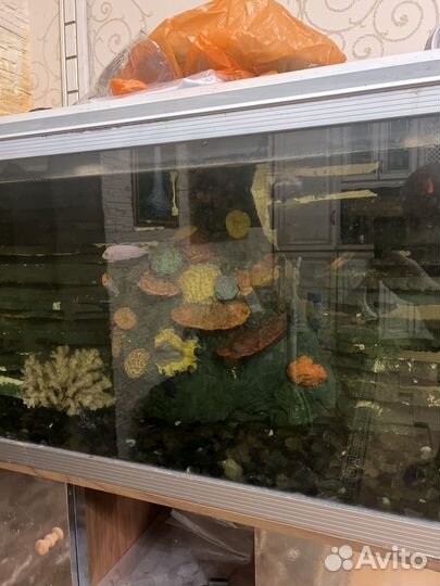 Аквариум с тумбой 300 литров