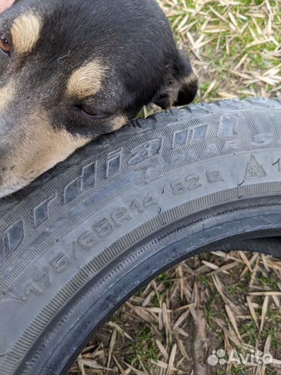 Cordiant Polar SL 175/65 R14 82Q