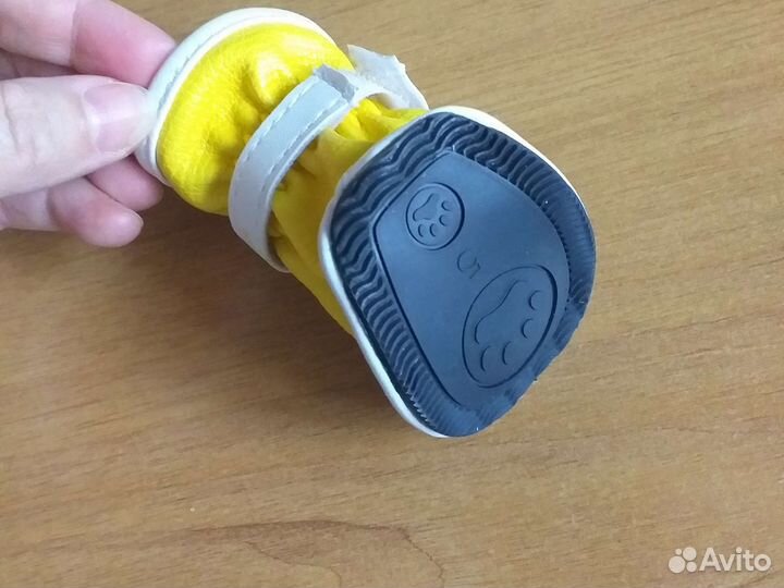 Обувь для маленьких собак