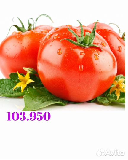 Работа / Вахта / Сборщик овощей / Без опыта