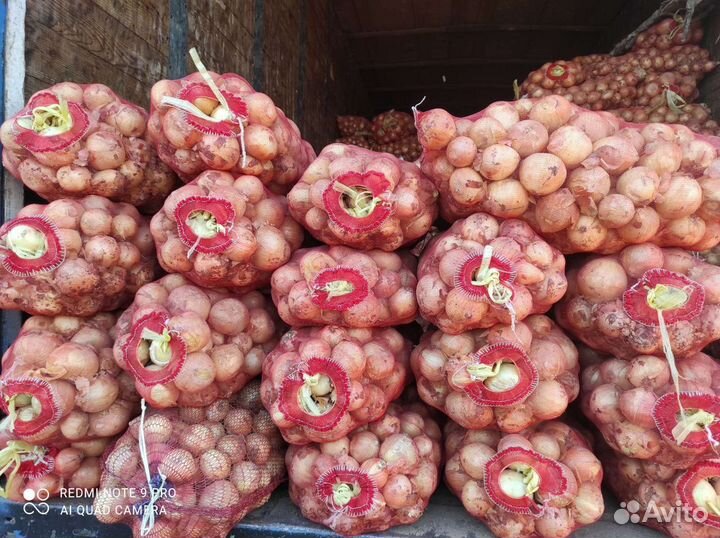 Овощи морковь, свекла, картофель, капуста, лук