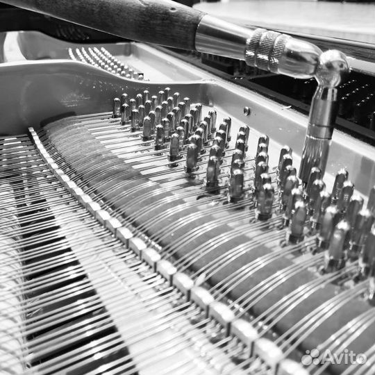 Настройка фортепиано, рояля