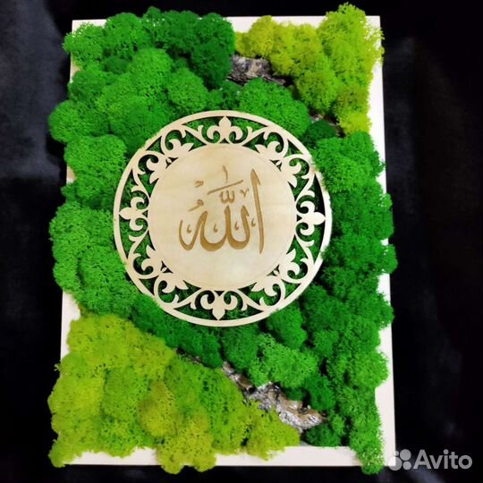 Картина из стабилизированного мха