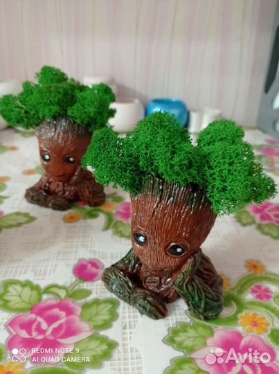 Кашпо со стабилизированным мхом 