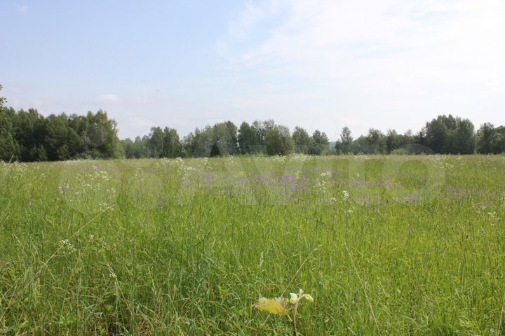 Участок 2,7 га (СНТ, ДНП)