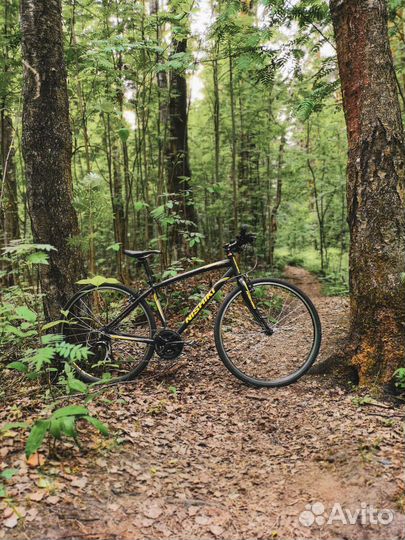 Велосипед Nishiki Manitoba