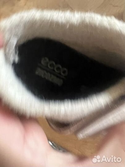 Ecco 23 демисезонные ботинки