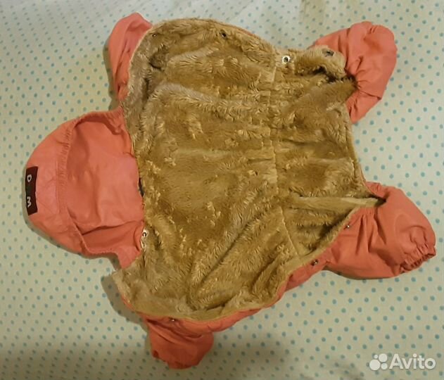 Одежда для собак той терьер