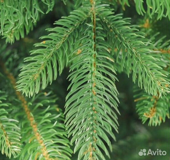 Ёлка искусственная литая Тюменская