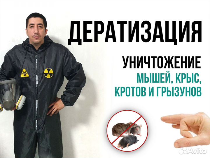 Уничтожение крыс / мышей / кротов / грызунов