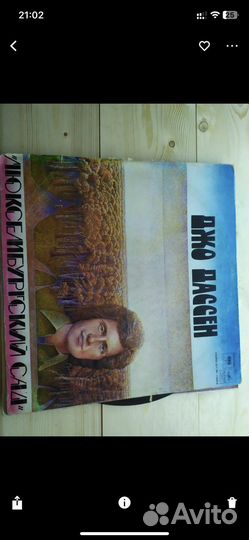 Виниловые пластинки в ассортименте