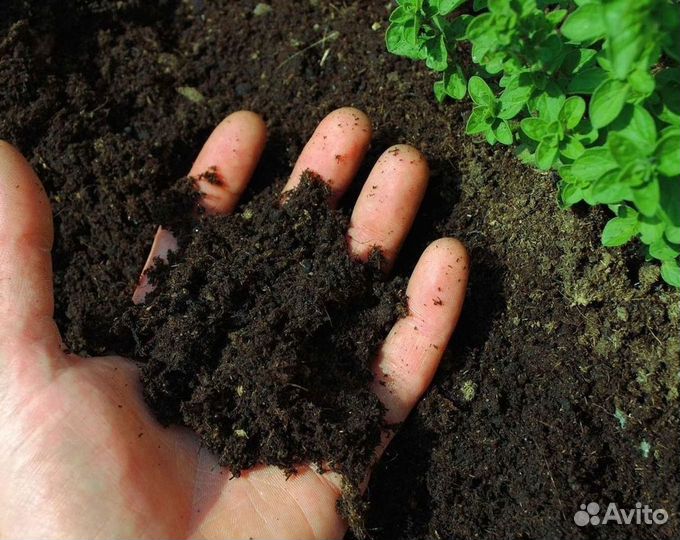 Торф / Земля сеянная и полевая