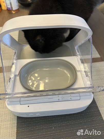 Кормушка для домашних животных с чипом. SureFeed