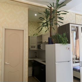 Квартира-студия, 25 м², 1/12 эт.