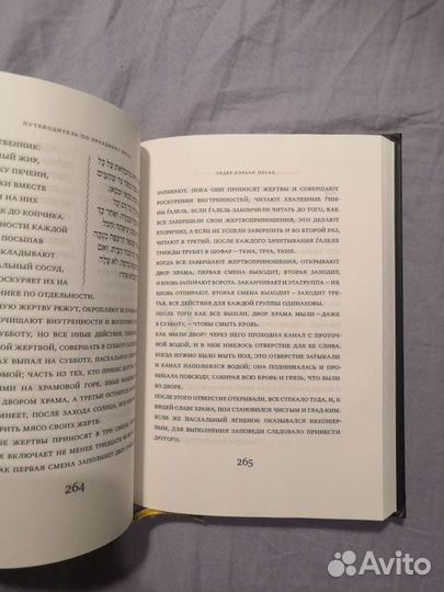 Пасхальная Агада. Путеводитель по празднику пейсах