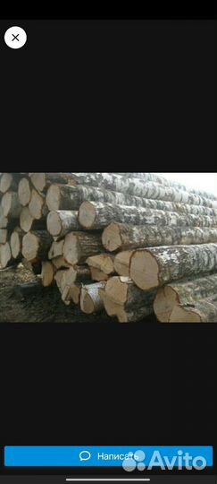 Лес кругляк берёза пиловочник