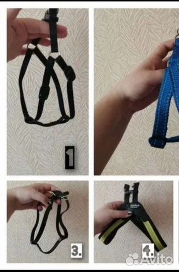 Товары для животных, ошейник, шлейка