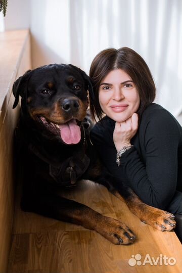 Кинолог/Дог-тренер