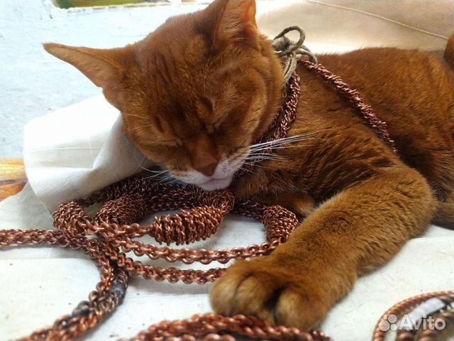 Тензорные кольца усиленные 1/2 от 144 мгц