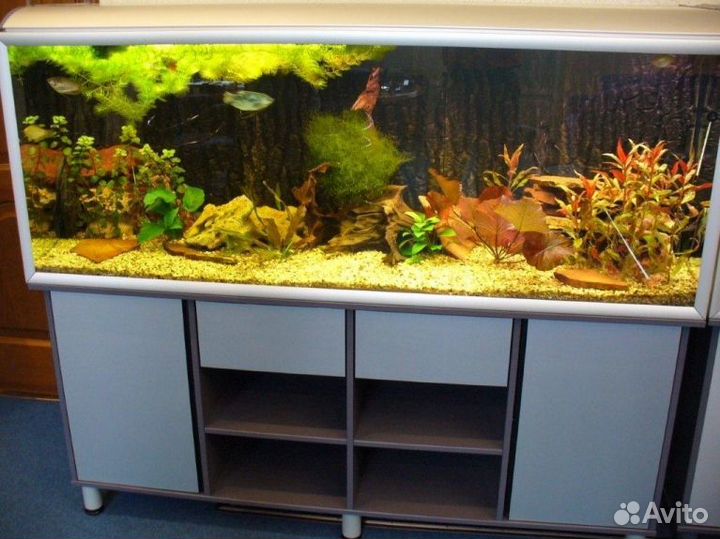 Морской аквариум, пресный аквариум -сервис,услуги